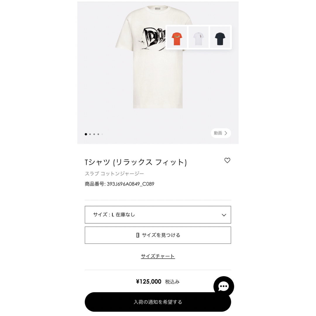 【着用2回】　ディオール　Tシャツ　付属品完備 メンズのトップス(Tシャツ/カットソー(半袖/袖なし))の商品写真