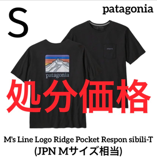 パタゴニア(patagonia)の【処分価格】パタゴニア ポケット付 Tシャツ 新品国内正規品 38511(Tシャツ/カットソー(半袖/袖なし))