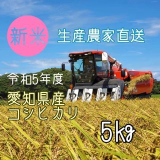 新米　愛知県産コシヒカリ　5㎏（白米4.5㎏）(米/穀物)