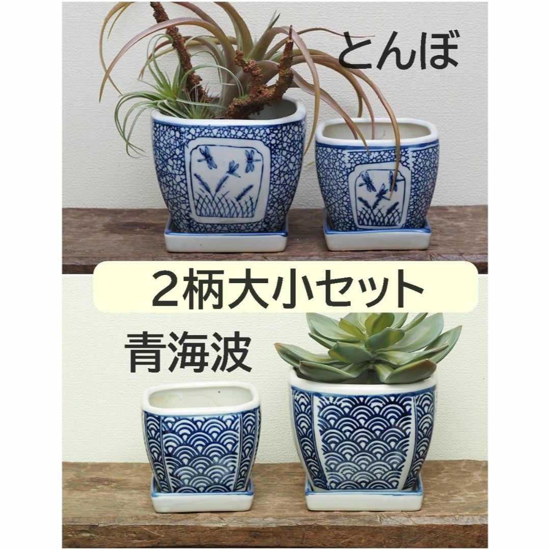 【2柄大小おまとめセット】植木鉢大小　蜻蛉(とんぼ)&青海波　皿付　多肉植物 | フリマアプリ ラクマ