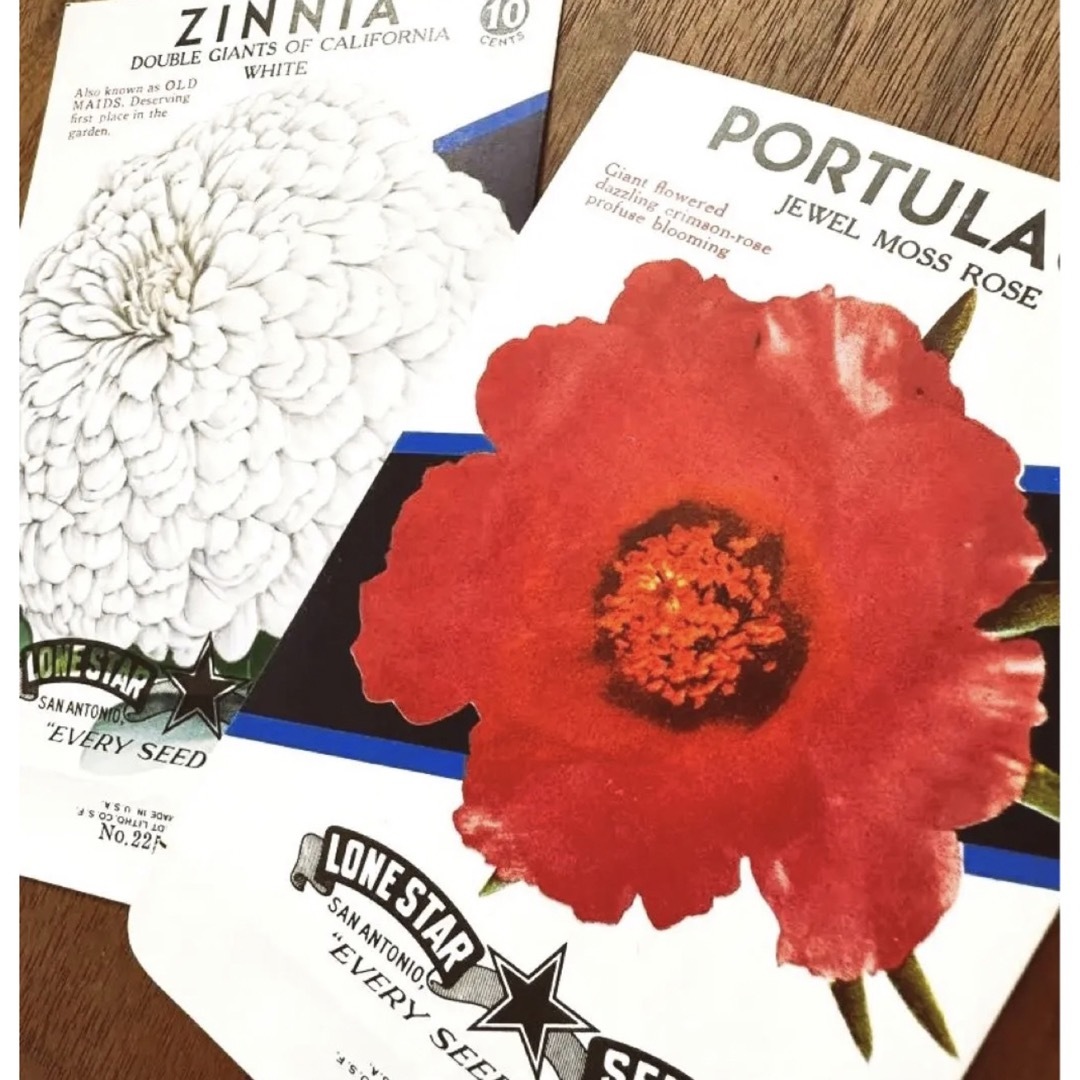 ヴィンテージ シードパケット 16枚セット お花柄 ジャンクジャーナル エンタメ/ホビーのコレクション(印刷物)の商品写真