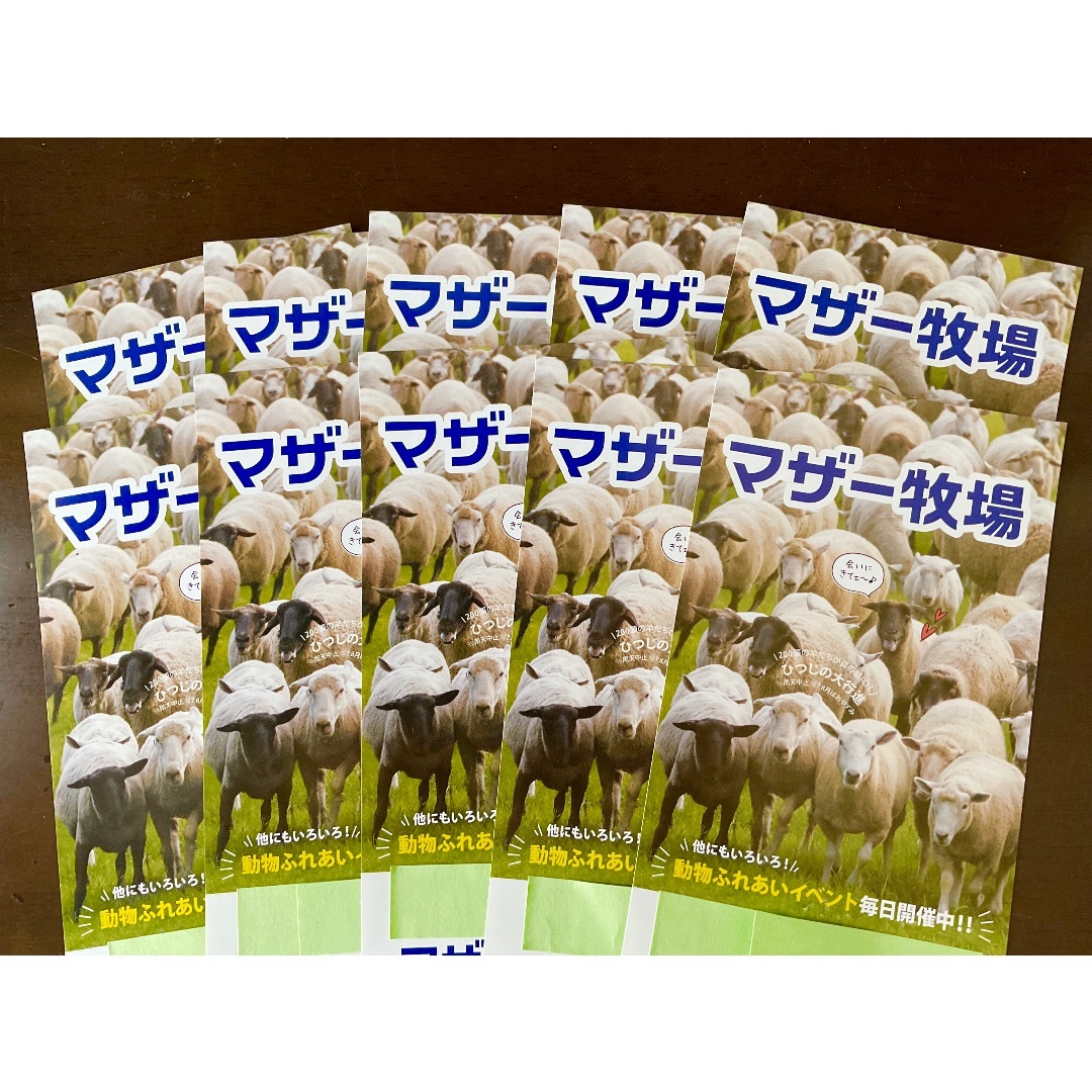 千葉県 マザー牧場 ⭐︎ 入園券 10セットです！⭐︎ ’24 /１.31 迄施設利用券