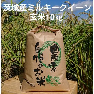 茨城令和5年産新米ミルキークイーン玄米10kg(米/穀物)