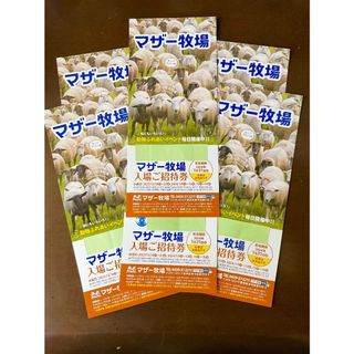 千葉県 マザー牧場 ◇ 入園券６セットです！◇ ’24 /１.31 迄(動物園)