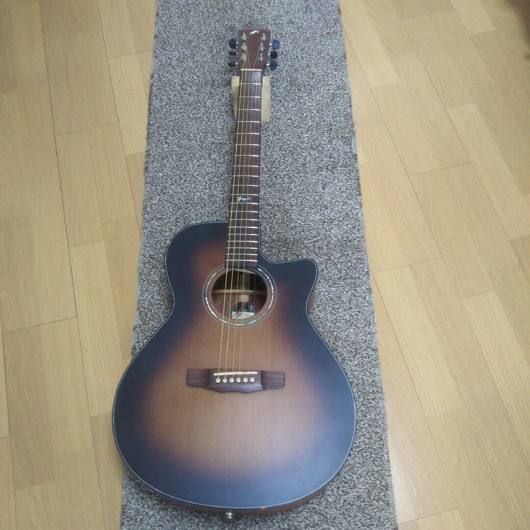 Morris エレアコ アコースティックギター S-61