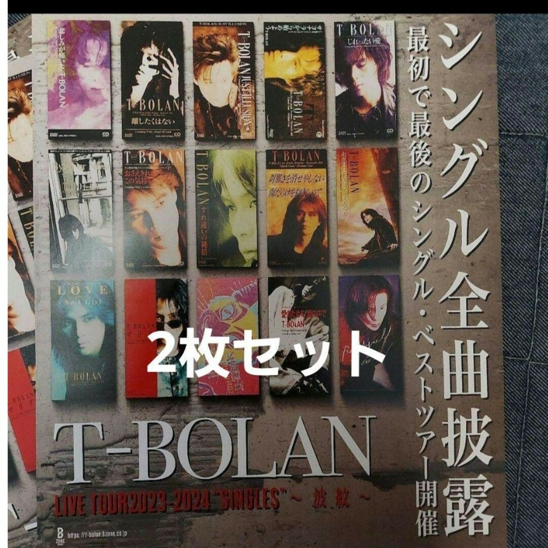 折れ対策【ファン必見】T-BOLAN　 BESTシングル フライヤー 2枚セット エンタメ/ホビーのDVD/ブルーレイ(ミュージック)の商品写真