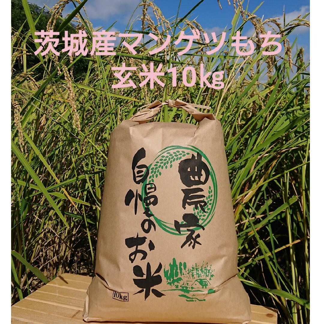 茨城令和5年産新米マンゲツモチ玄米10kg 食品/飲料/酒の食品(米/穀物)の商品写真