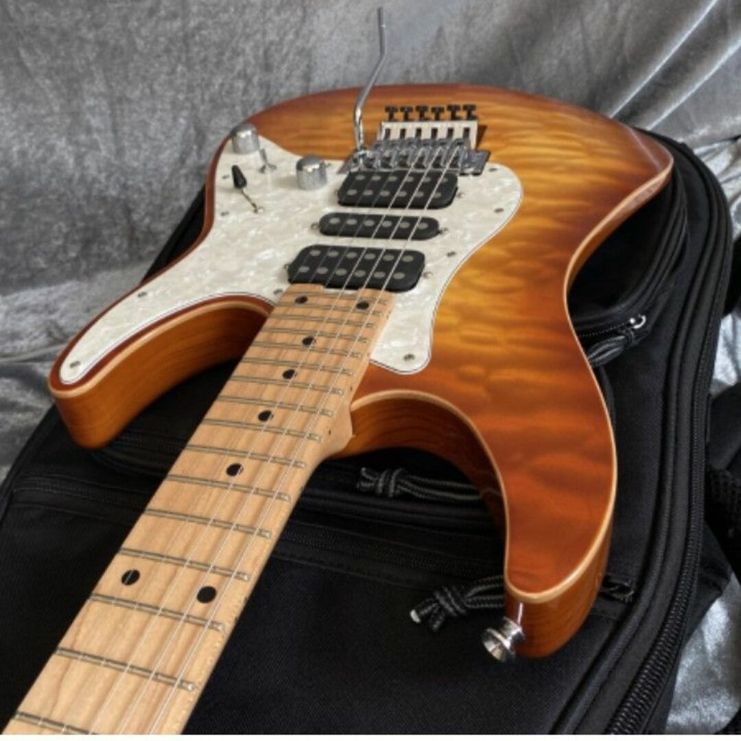 美品 SCHECTER SD-DX-24 AS 国産本格モデル！ アッシュボディ