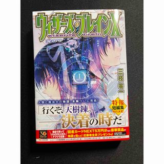 アスキーメディアワークス(アスキー・メディアワークス)のウィザーズ・ブレイン　光の空　最終巻(文学/小説)