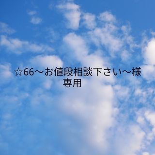 ☆66〜お値段相談下さい〜様　オーダーハンドメイド　水筒肩カバー(水筒)