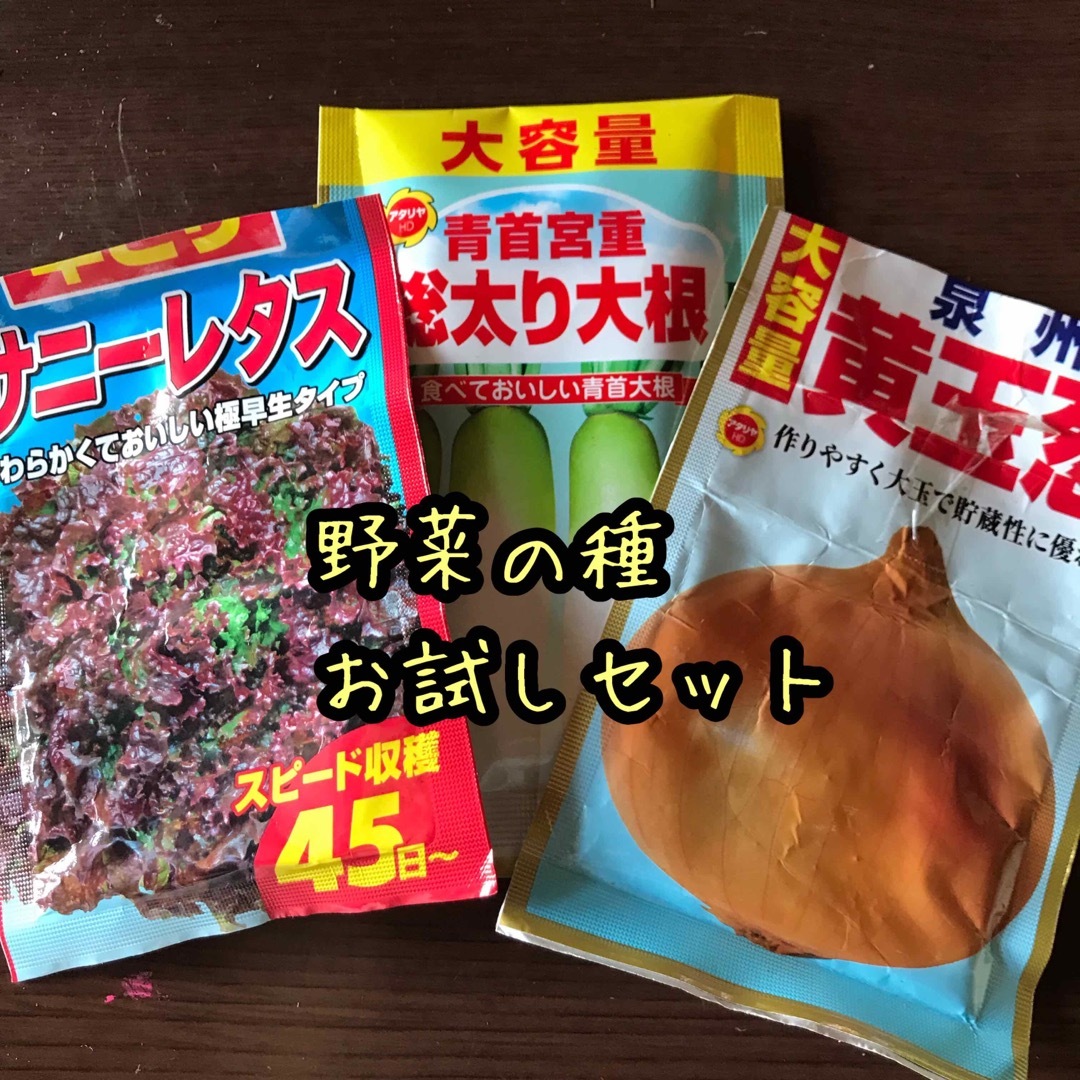 野菜の種 お試しセット 青首宮重 総太り大根 泉州 黄玉葱サニーレタス 茎立菜 食品/飲料/酒の食品(野菜)の商品写真