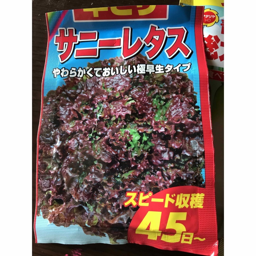 野菜の種 お試しセット 青首宮重 総太り大根 泉州 黄玉葱サニーレタス 茎立菜 食品/飲料/酒の食品(野菜)の商品写真