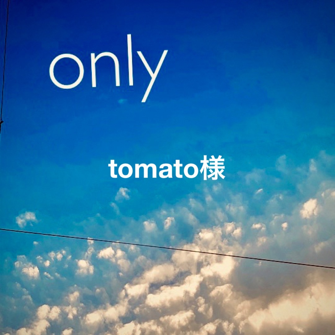 tomato様∣専用ページ-