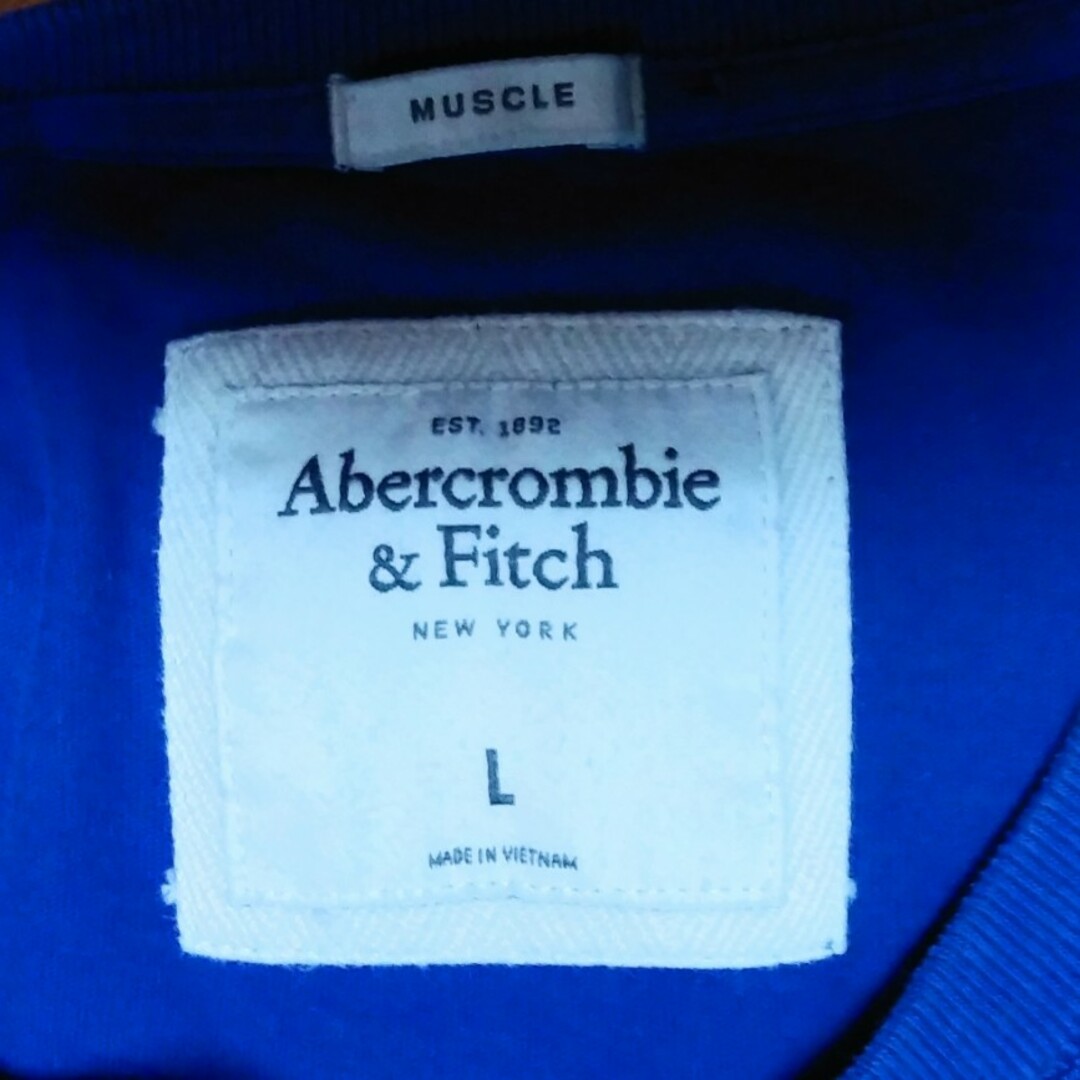 Abercrombie&Fitch(アバクロンビーアンドフィッチ)のアバクロンビー&フィッチ　VネックTシャツ　Ｌ メンズのトップス(Tシャツ/カットソー(半袖/袖なし))の商品写真