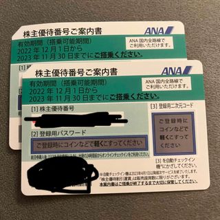 エーエヌエー(ゼンニッポンクウユ)(ANA(全日本空輸))のANA 株主優待(航空券)