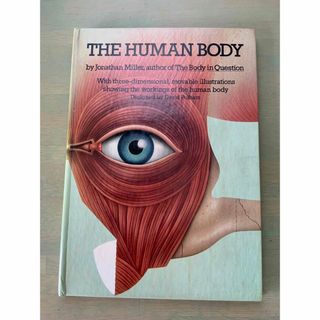 ヴィンテージ飛び出す絵本　人間の体　The Human Body