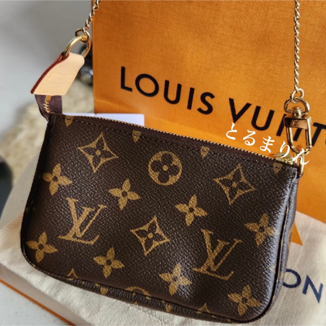 LOUIS VUITTON - 【激レア☆新品すぐ届く】ルイヴィトン ミニ