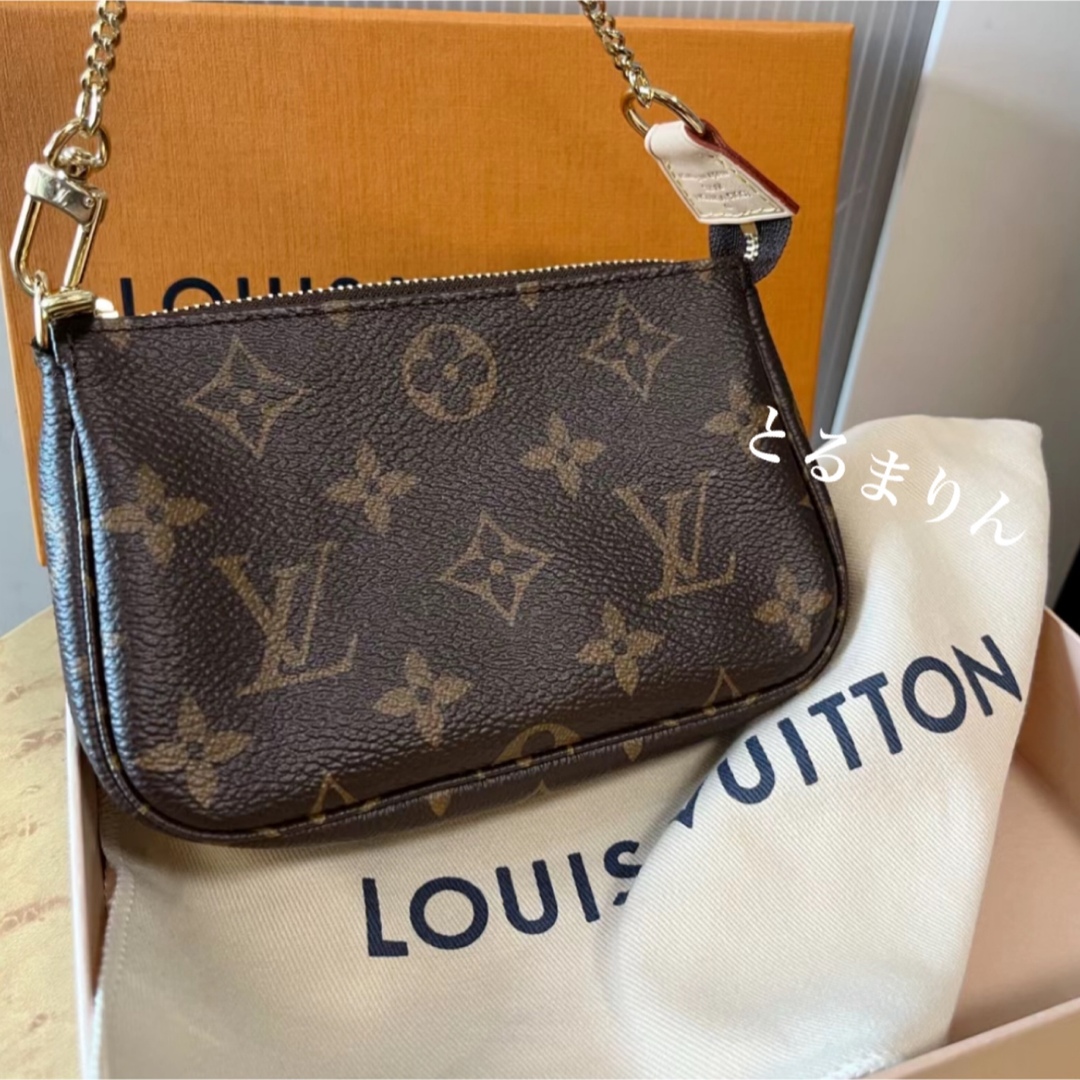 LOUIS VUITTON - 【激レア☆新品すぐ届く】ルイヴィトン ミニ