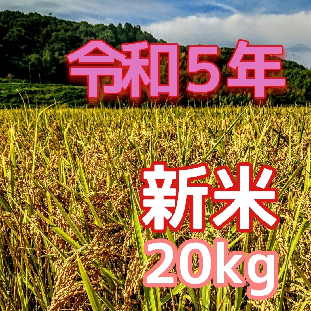 令和３年産新米 低農薬玄米１０キロ 山田錦の里より農家直送　(精米サービス中)