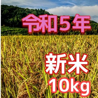 令和５年産新米 低農薬玄米１０キロ 山田錦の里より農家直送　(精米サービス中)(米/穀物)