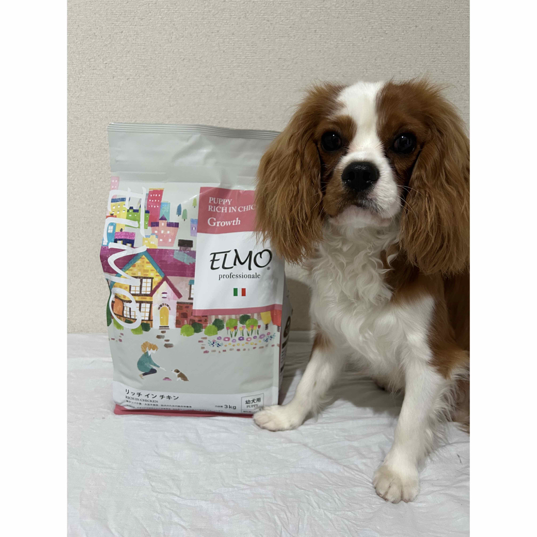 MELMO(メルモ)の値下げしました！エルモ ドッグフード 3kg ドライドックフード その他のペット用品(ペットフード)の商品写真