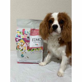 メルモ(MELMO)の値下げしました！エルモ ドッグフード 3kg ドライドックフード(ペットフード)