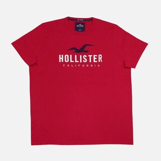 ホリスター(Hollister)の★新品★ホリスター★アップリケロゴTシャツ (Red/XL)(Tシャツ/カットソー(半袖/袖なし))
