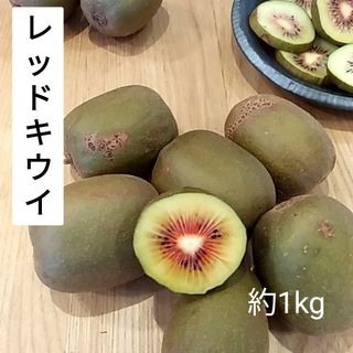 レッドキウイ　国産　農薬不使用　約1kg(フルーツ)