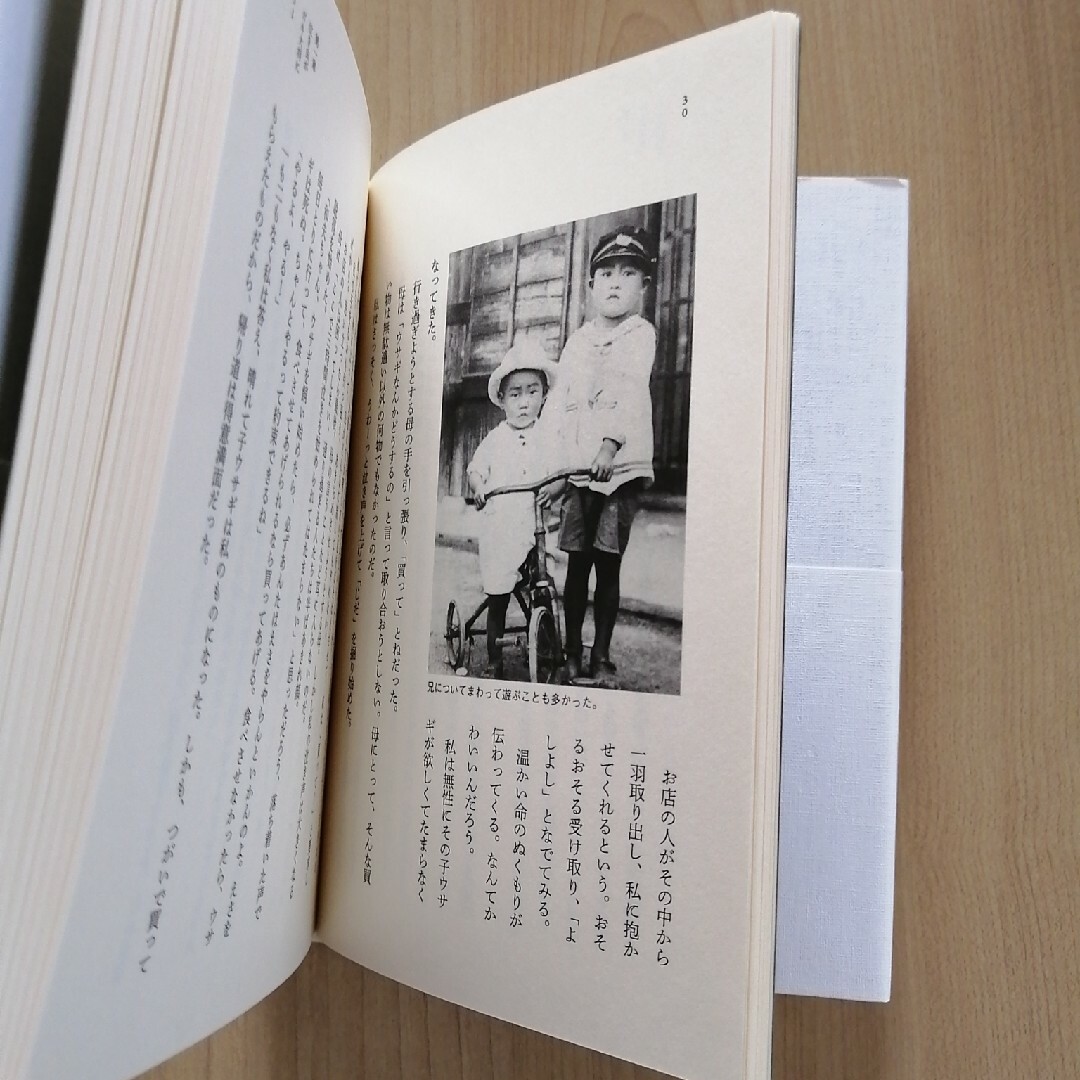 ごてやん 私を支えた母の教え エンタメ/ホビーの本(文学/小説)の商品写真