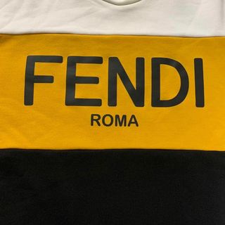 【超希少カラー】FENDI フェンディ センターロゴ 即完売モデル パーカー