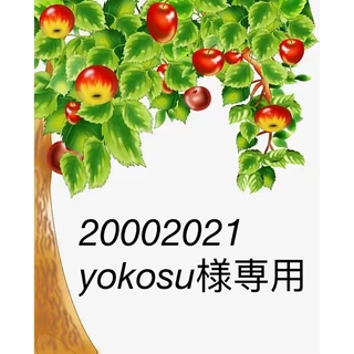 20002021yokosu様専用(知育玩具)