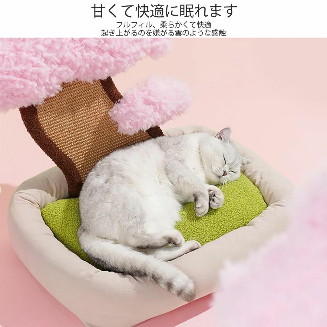 PET-ZEZE 猫 ベッド 猫ハウス 猫ベッド キャットタワー ミニ 猫つめと 1