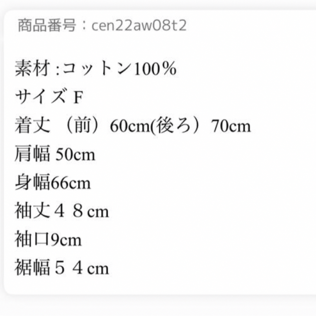 UNITED ARROWS(ユナイテッドアローズ)のcen. パフパフカットソー レディースのトップス(カットソー(長袖/七分))の商品写真