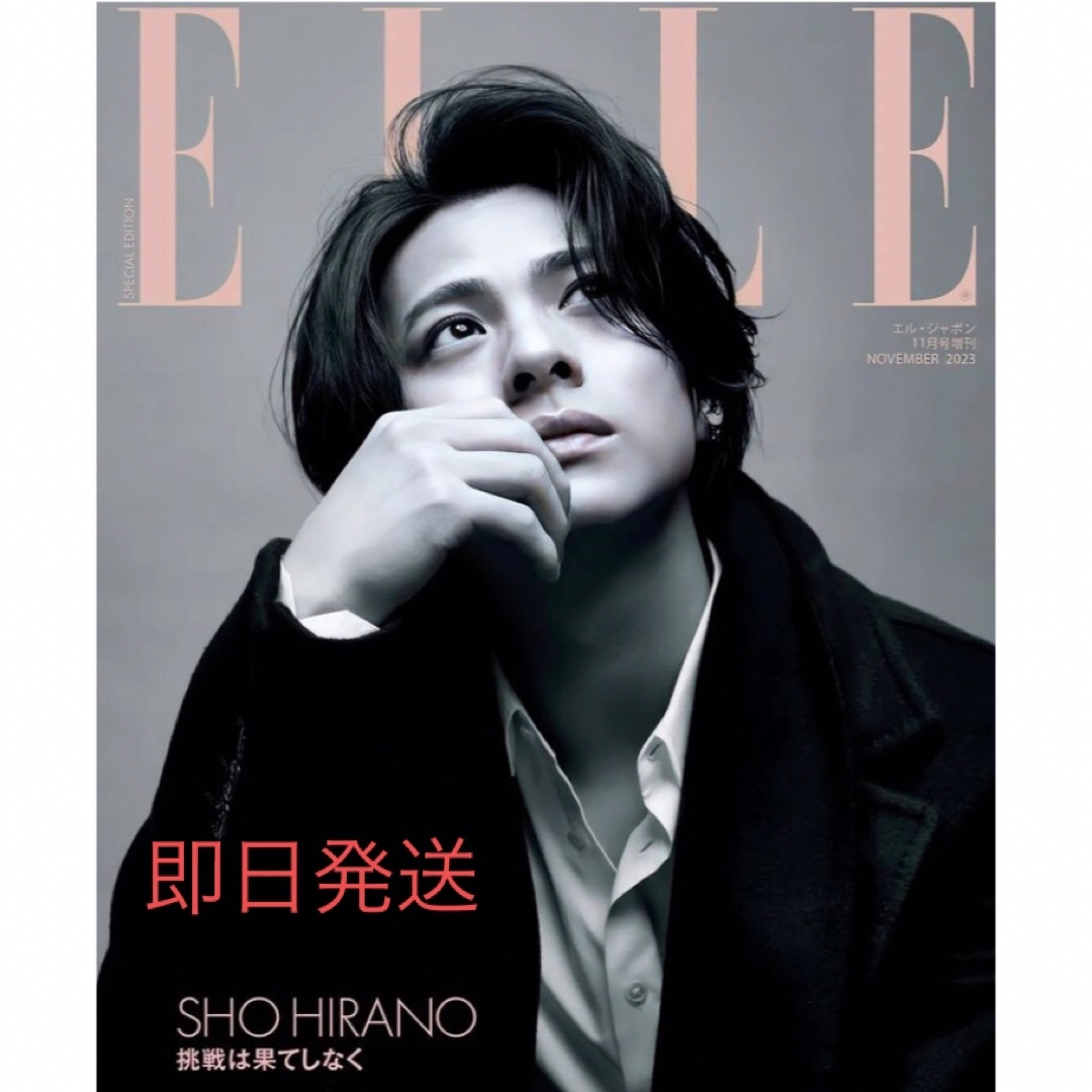 ELLE(エル)の増刊 ELLE JAPON (エル・ジャポン) 特別版  平野紫耀 エンタメ/ホビーの雑誌(生活/健康)の商品写真