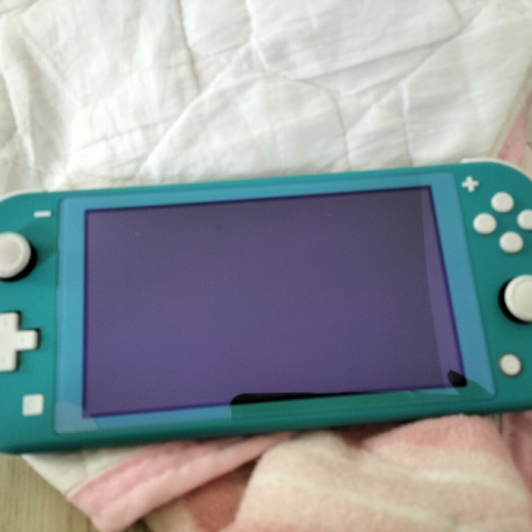 ニンテンドースイッチライト