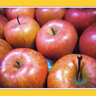 【リンゴ】早生フジ 5kg以上 【訳あり林檎】家庭用ふじ りんご(フルーツ)