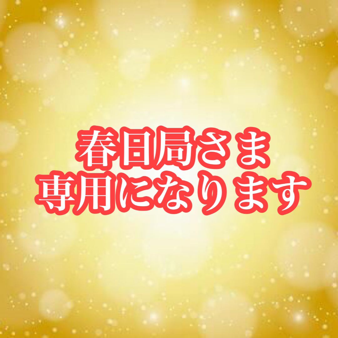 春日局さま専用になります♩ - その他