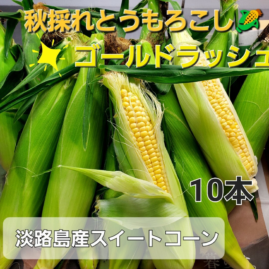 淡路島産秋採れとうもろこし🌽ゴールドラッシュ10本プラス小さいサツマイモ 食品/飲料/酒の食品(野菜)の商品写真