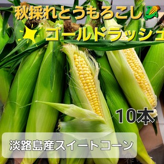 淡路島産秋採れとうもろこし🌽ゴールドラッシュ10本プラス小さいサツマイモ(野菜)