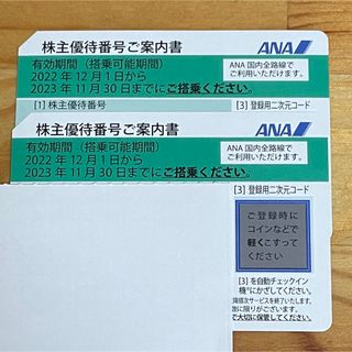 エーエヌエー(ゼンニッポンクウユ)(ANA(全日本空輸))の株主優待券　全日本　ANA  2023.11.30まで(航空券)