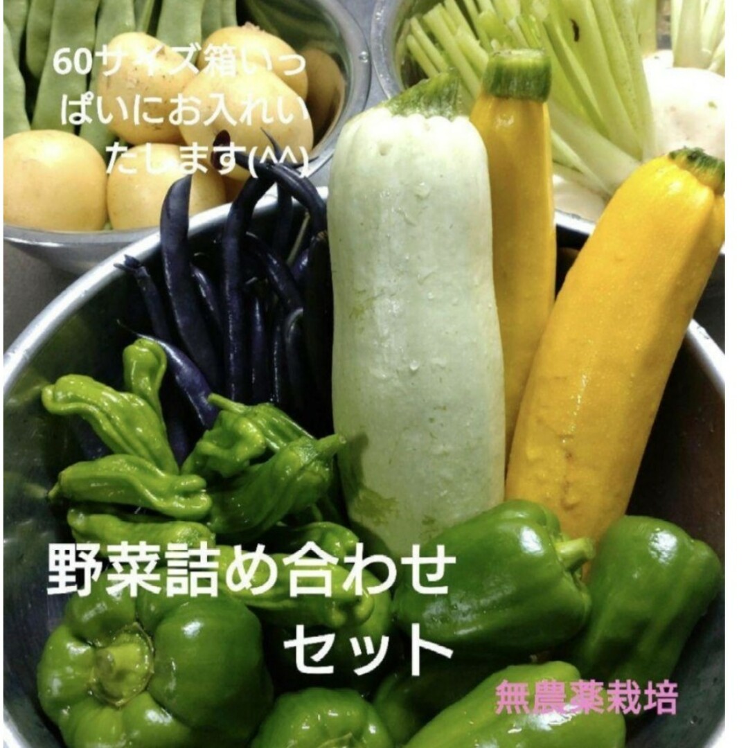 野菜詰め合わせセット　無農薬野菜（60サイズ 食品/飲料/酒の食品(野菜)の商品写真