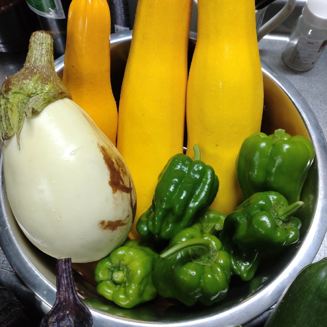 野菜詰め合わせセット　無農薬野菜（60サイズ 食品/飲料/酒の食品(野菜)の商品写真
