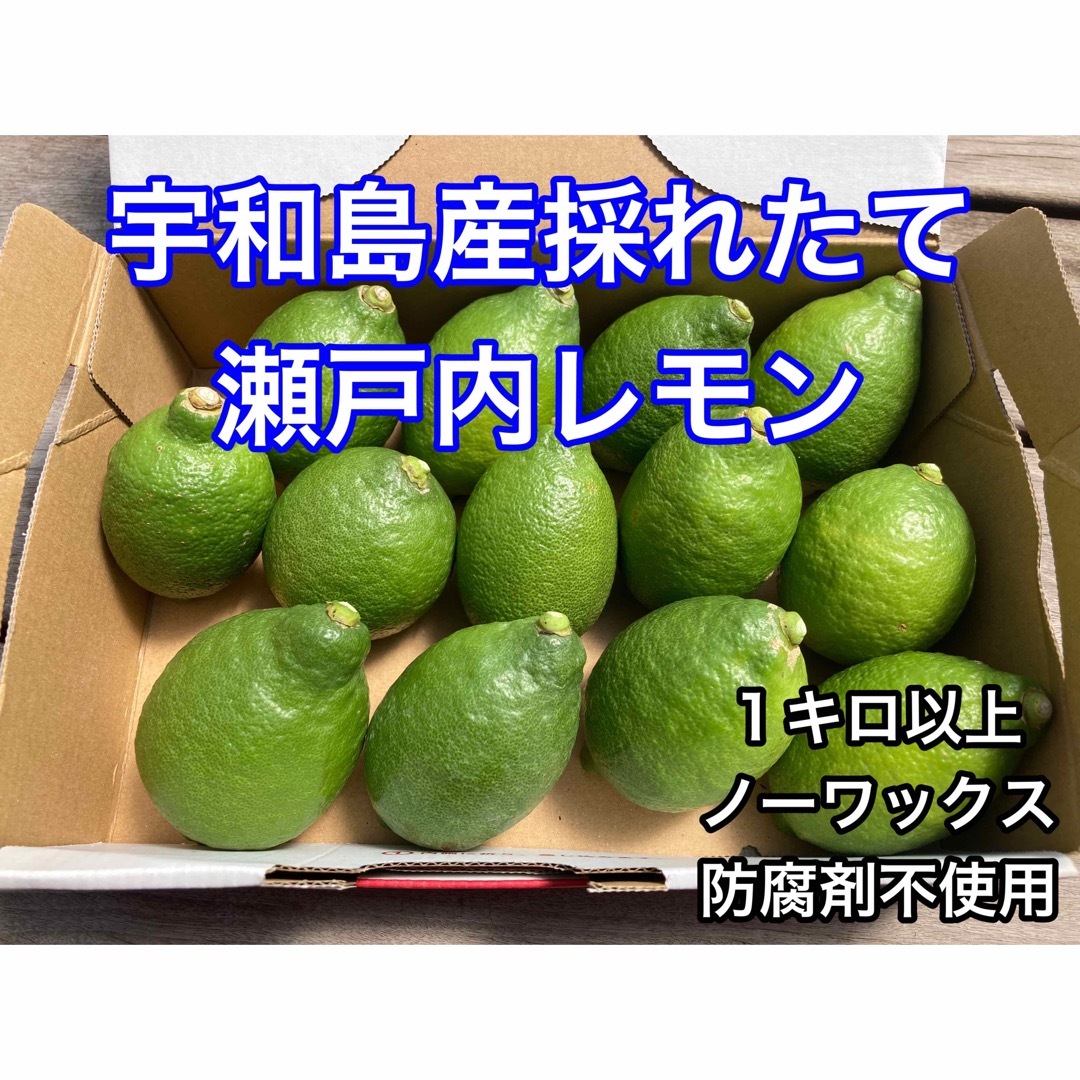 瀬戸内レモン　国産　宇和島産　減農薬 食品/飲料/酒の食品(フルーツ)の商品写真