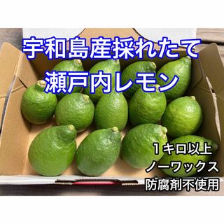 瀬戸内レモン　国産　宇和島産　減農薬(フルーツ)