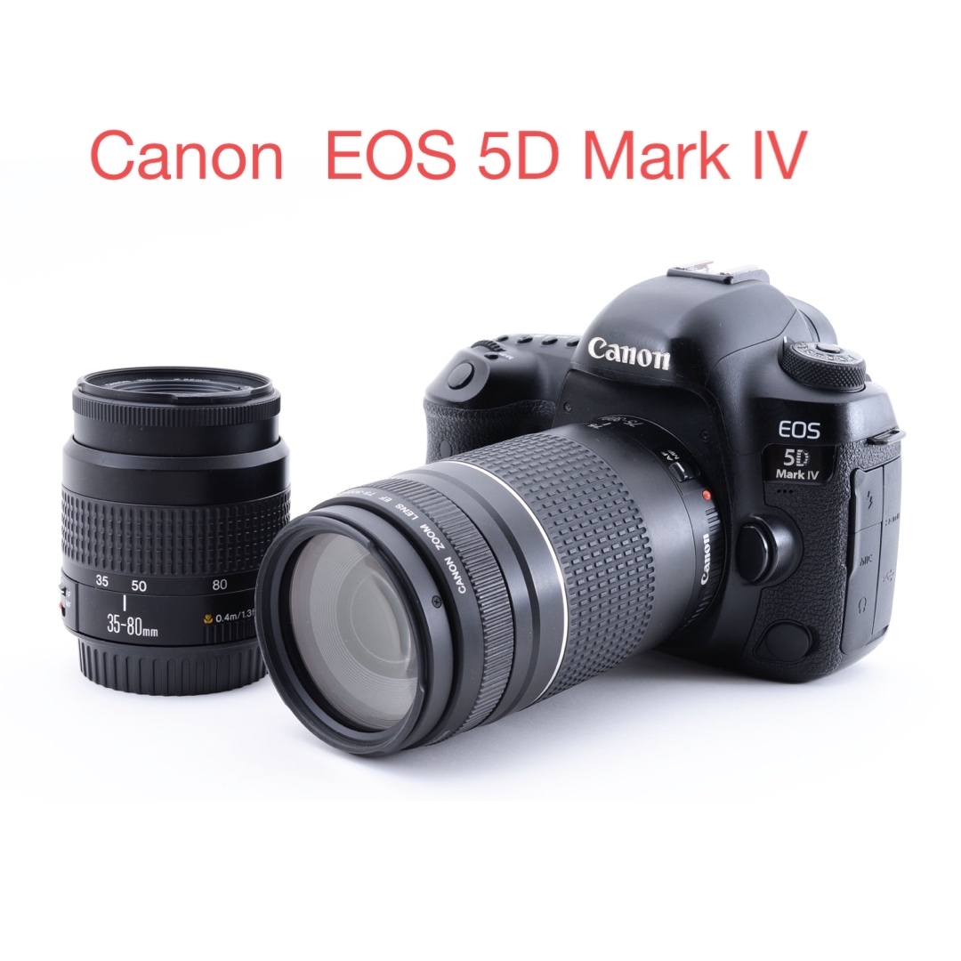 付属品付　キャノン Canon EOS 5D Mark IVダブルレンズセット