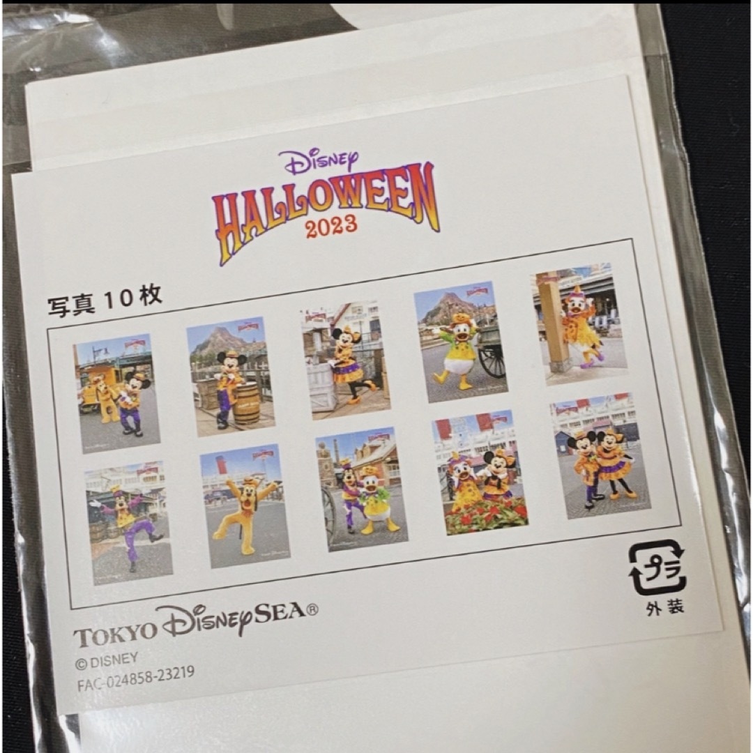 TDS ディズニーシー ハロウィン 2023 写真 フォトセット 10枚