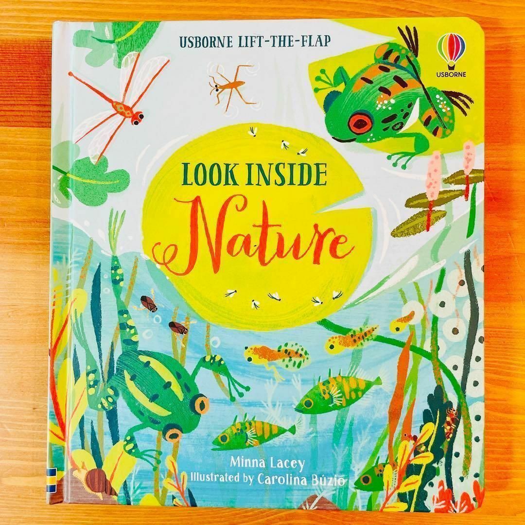 英語絵本Usborne look inside Nature しかけ絵本 洋書 | フリマアプリ ラクマ