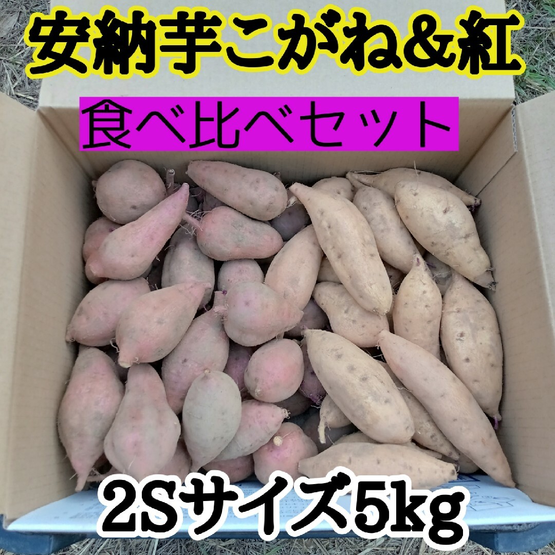 shop｜ラクマ　安納芋紅こがね2S　by　5kg(種子島産)の通販　chiko's