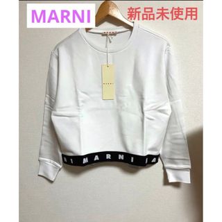 新品未使用マルニ Tシャツ ジャケットニットスウェットやスニーカーとも