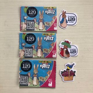 ピーターラビット(PETER RABBIT（TM）)のDAISO FIXEEZ　フィクシーズ　ピーターラビット　アイロン接着シール(各種パーツ)